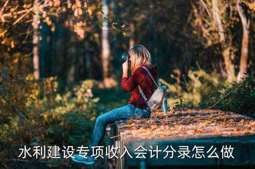 水利建設專項收入是什么，水利建設專項收入會計分錄怎么做
