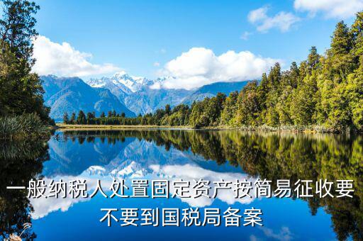 為什么簡易征收要備案，處置使用過的固定資產(chǎn)簡易辦法征收需要備案