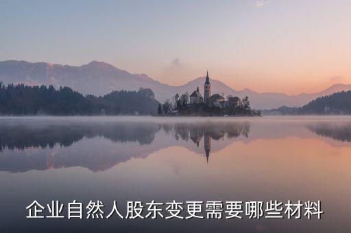 變更自然人登記業(yè)務(wù)需要帶什么，企業(yè)自然人股東變更需要哪些材料