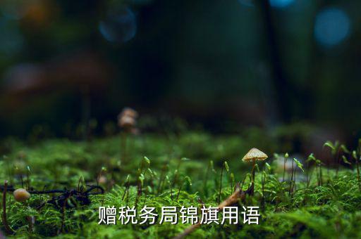 送錦旗給稅局可以寫什么內(nèi)容，贈(zèng)稅務(wù)局錦旗用語(yǔ)