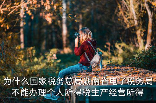 電子稅務(wù)局里面為什么沒有個(gè)稅，個(gè)人所得稅查不到怎么回事