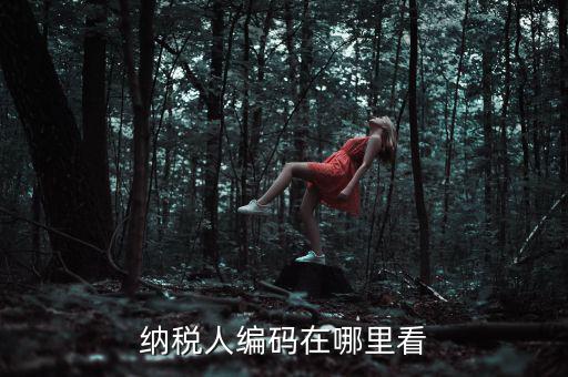 地稅稅源編號是什么，建筑業(yè)地稅稅源編號指的是啥