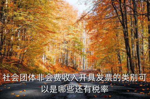 社會(huì)團(tuán)體非會(huì)費(fèi)收入開(kāi)具發(fā)票的類(lèi)別可以是哪些還有稅率