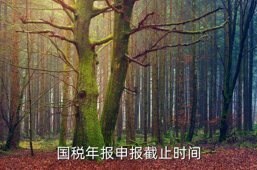 新疆國稅申報11月的什么時候結(jié)束，國稅年報申報截止時間