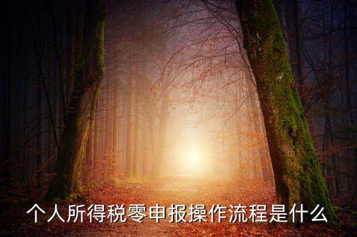 扣繳稅款登記主要流程是什么，納稅流程是怎樣的