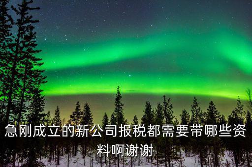 報(bào)稅要帶什么資料，增值稅報(bào)稅都要準(zhǔn)備哪些資料