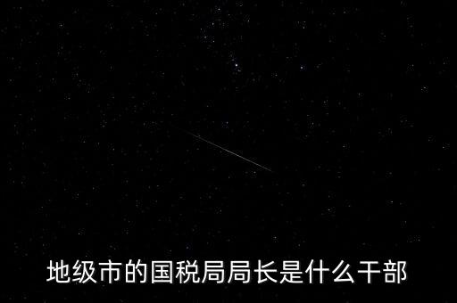地級(jí)市的國稅局局長是什么干部
