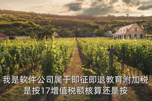 軟件企業(yè)交什么稅，軟件企業(yè)增值稅即征即退指的是什么