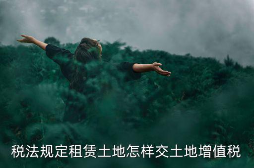 租用土地要交什么稅，土地租賃應該繳哪些稅收