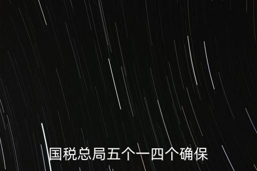 稅務(wù)局五個(gè)一是什么時(shí)候，國稅總局五個(gè)一四個(gè)確保