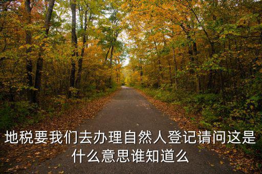 辦稅自然人登記是什么意思，申請(qǐng)人為自然人的是什么意思