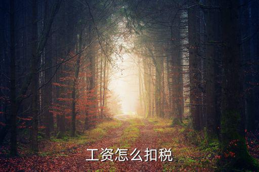 員工工資中的稅是按什么扣的，工資怎么扣稅
