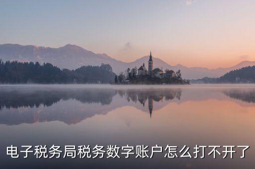 電子稅務局稅務數(shù)字賬戶怎么打不開了