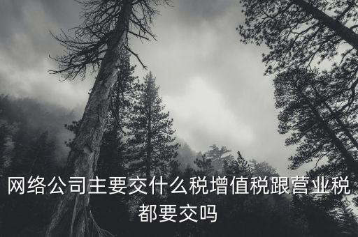 互聯(lián)網(wǎng)企業(yè)交什么稅，互聯(lián)網(wǎng)公司在稅收上有何政策