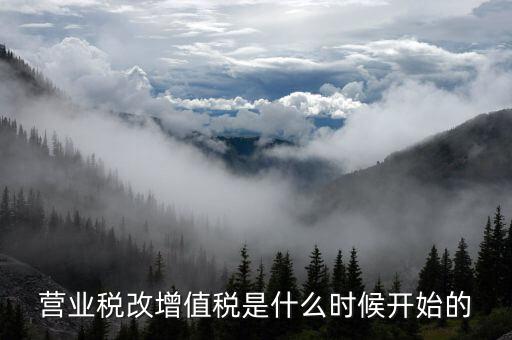 營(yíng)改增是什么時(shí)候開(kāi)始的，我國(guó)全面推開(kāi)營(yíng)改增是哪一年