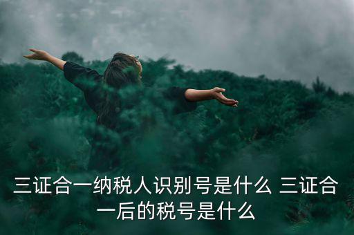三證合一后稅號(hào)是什么，三證合一納稅人識(shí)別號(hào)是什么 三證合一后的稅號(hào)是什么