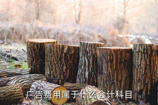 廣告宣傳費(fèi)屬于什么費(fèi)用，宣傳費(fèi)計(jì)入什么科目