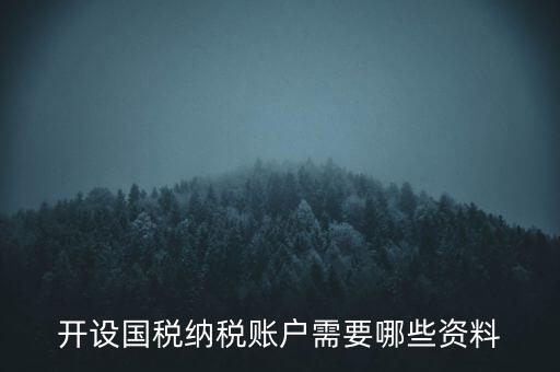 開國稅都需要帶什么資料，開設(shè)國稅納稅賬戶需要哪些資料