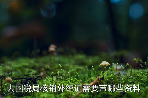 核銷外經(jīng)證地稅那做什么，去國(guó)稅局核銷外經(jīng)證需要帶哪些資料