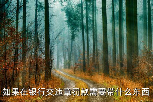 銀行端查詢繳款需帶什么，銀行端查詢繳稅業(yè)務(wù)如何辦理
