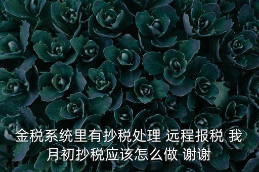 金稅系統(tǒng)里有抄稅處理 遠程報稅 我月初抄稅應(yīng)該怎么做 謝謝