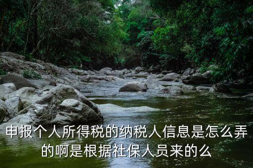納稅人信息包括什么，申報(bào)個(gè)人所得稅的納稅人信息是怎么弄的啊是根據(jù)社保人員來的么