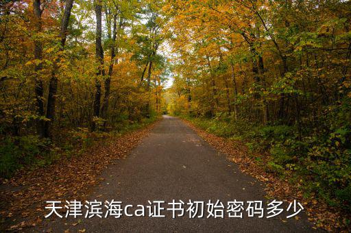 天津ca密碼是什么意思，天津社?？ǔ跏济艽a是多少啊 我是中國銀行的