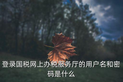 報(bào)稅企業(yè)用戶名是什么，登錄國(guó)稅網(wǎng)上辦稅服務(wù)廳的用戶名和密碼是什么