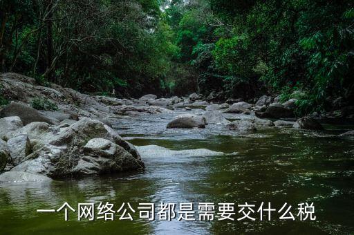 互聯(lián)網(wǎng)公司交什么稅，做互聯(lián)網(wǎng)服務(wù)行業(yè)要交多少稅