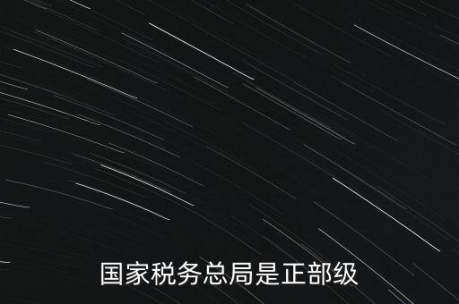 稅務(wù)大廳主任什么級(jí)別，金河鎮(zhèn)稅務(wù)務(wù)局局長是什么級(jí)別
