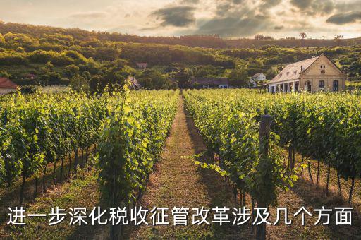稅務(wù)改革 發(fā)展要什么，論述個(gè)人所得稅改革的基本原則