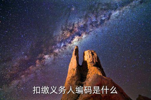 個稅系統(tǒng)扣繳義務(wù)人編碼是什么，扣繳義務(wù)人編碼是什么