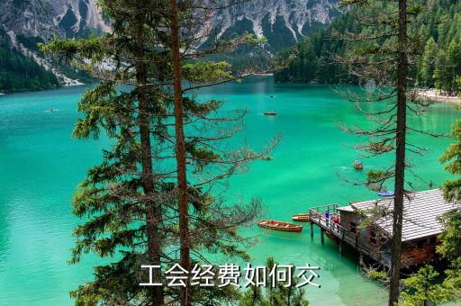 工會經(jīng)費按什么繳納，工會經(jīng)費如何交
