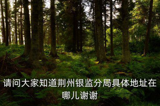 荊州稅務(wù)局在什么地方，請(qǐng)問(wèn)大家知道荊州銀監(jiān)分局具體地址在哪兒謝謝