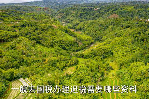 稅務(wù)局退稅要什么手續(xù)，一般去國(guó)稅辦理退稅需要哪些資料