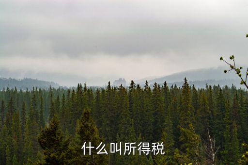 居民企業(yè)所得稅是什么，居民企業(yè)所得稅月度預(yù)繳納稅申報(bào)收入指什么時(shí)候的