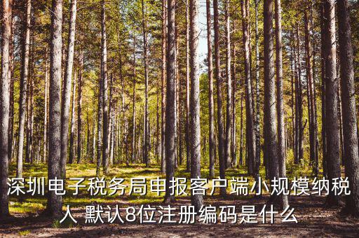 深圳納稅人編號(hào)是什么，什么是深圳市國(guó)稅百元開(kāi)頭發(fā)票的納稅人識(shí)別號(hào)