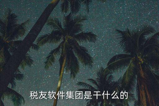 稅友軟件是干什么的，稅友的稅友軟件集團(tuán)