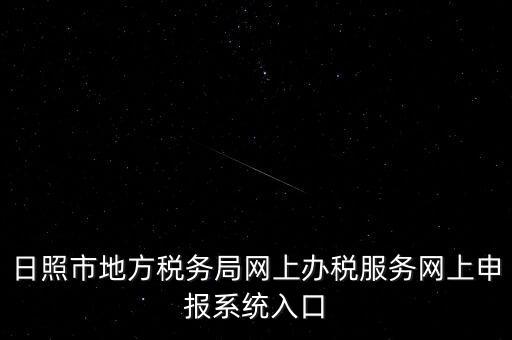 日照市地方稅務局網上辦稅服務網上申報系統(tǒng)入口
