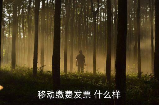 移動(dòng)電子發(fā)票什么樣，移動(dòng)繳費(fèi)發(fā)票 什么樣
