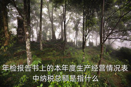 年報(bào)的納稅額看什么表，年檢報(bào)告書上的本年度生產(chǎn)經(jīng)營情況表中納稅總額是指什么