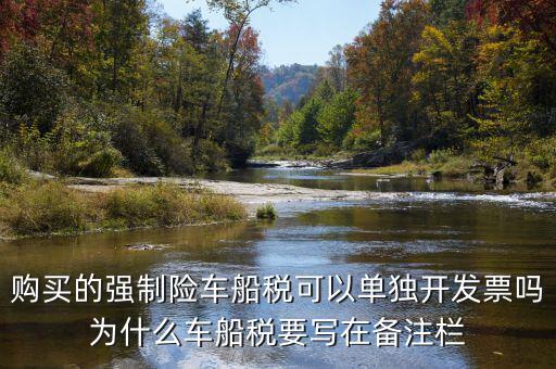 保險車船稅為什么在發(fā)票備注欄，購買的強制險車船稅可以單獨開發(fā)票嗎為什么車船稅要寫在備注欄