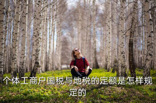 個(gè)體工商戶國稅與地稅的定額是怎樣規(guī)定的