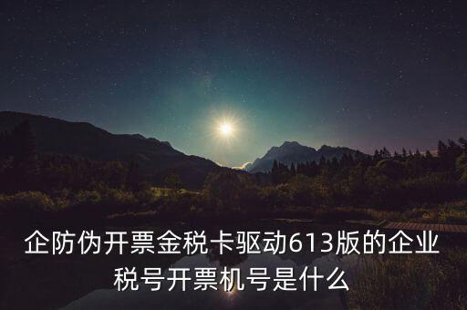 金稅盤企業(yè)稅號是什么，企防偽開票金稅卡驅(qū)動613版的企業(yè)稅號開票機(jī)號是什么