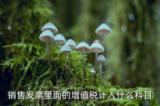 發(fā)票稅金入什么科目，開(kāi)票稅金計(jì)入什么科目