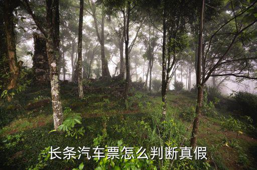 長(zhǎng)條國(guó)稅車票什么樣子，國(guó)稅長(zhǎng)途汽車票什么樣