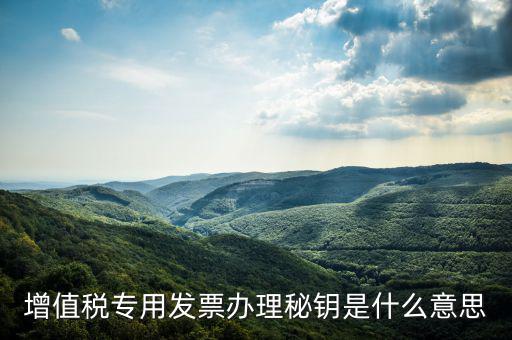 國(guó)稅密鑰是什么，增值稅專用發(fā)票辦理秘鑰是什么意思