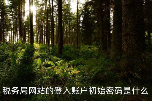 稅務局網站的登入賬戶初始密碼是什么