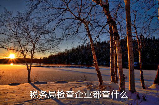 北京市稅務(wù)局主要查什么，稅務(wù)查賬一般查什么內(nèi)容
