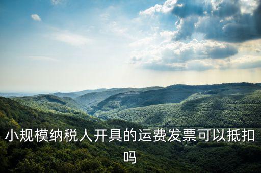 什么樣的運(yùn)費(fèi)票可以抵，運(yùn)輸費(fèi)增值稅都能用什么票抵扣